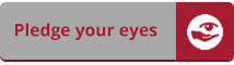 Pledge your eyes