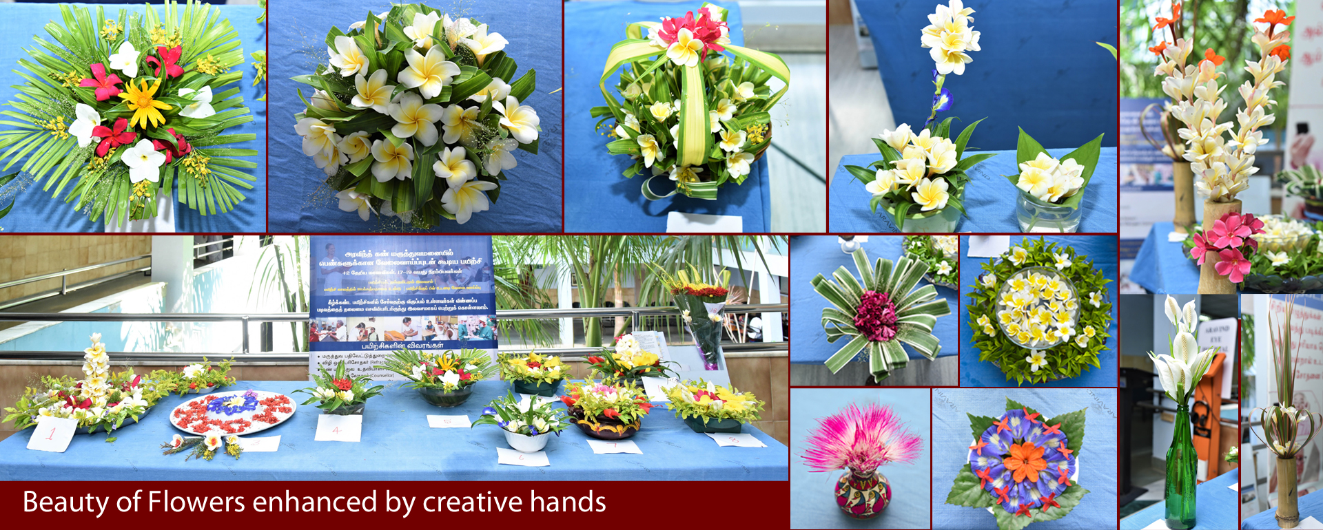 CBE_beauty of flowers