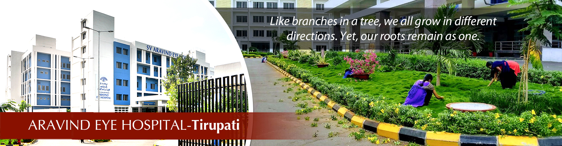 Tirupati_Header_Final